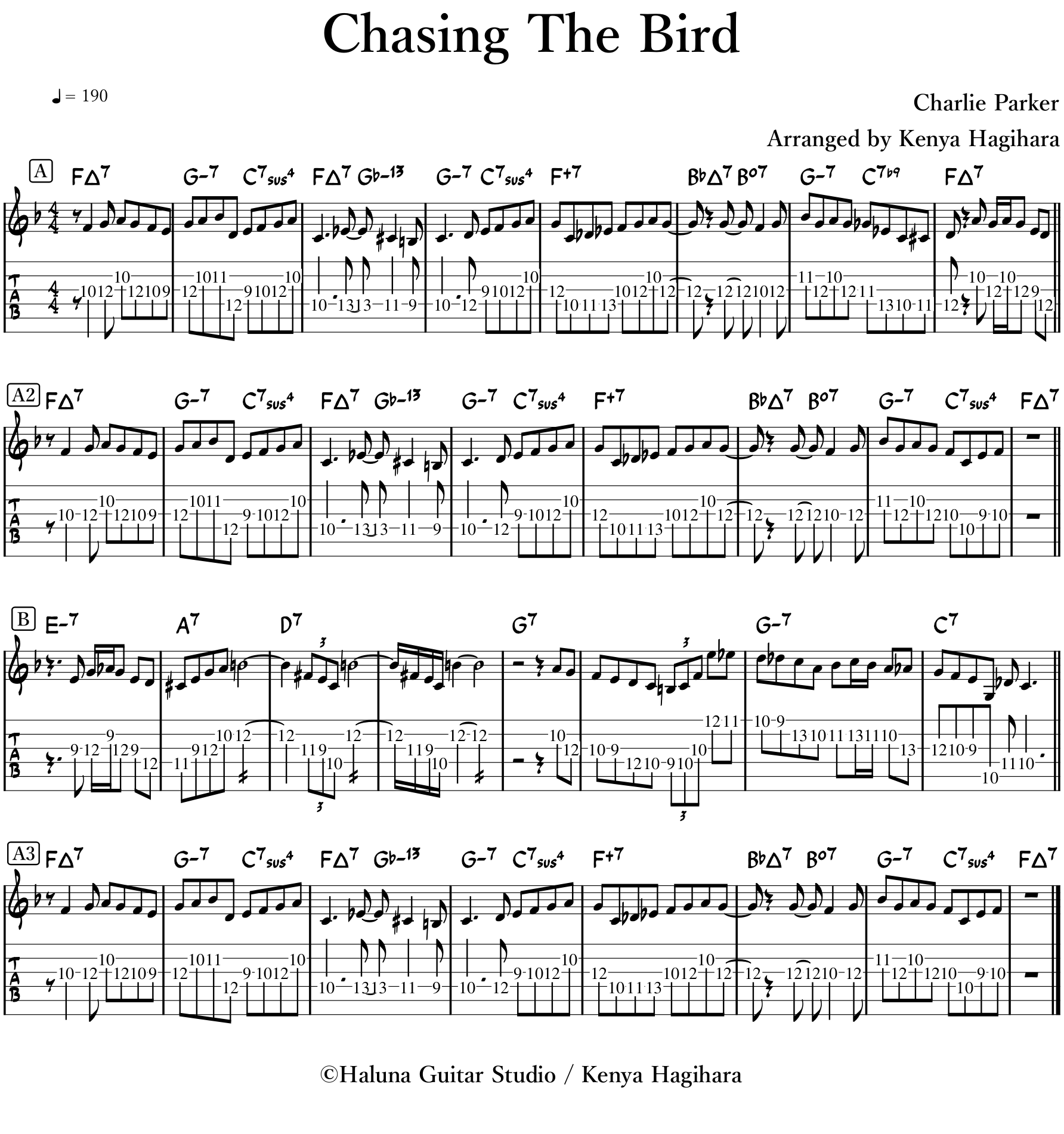 Chasing The Bird